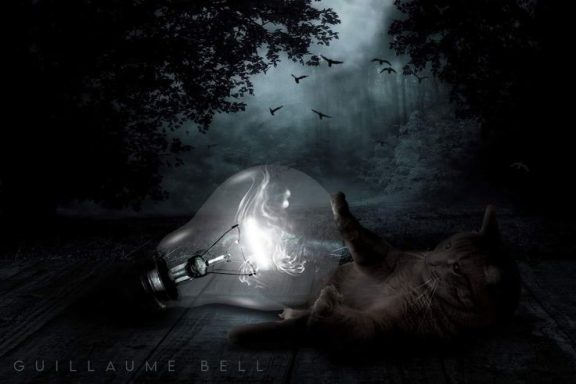 Un chat allongé près d'une ampoule brisée, entouré d'une ambiance sombre et mystérieuse.