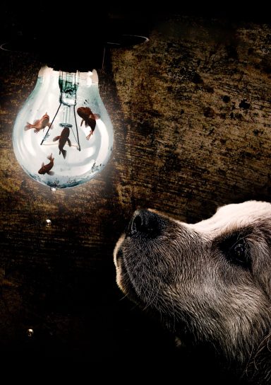 Un chien regarde une ampoule contenant des poissons nageant à l'intérieur.