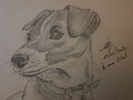 Dessin au crayon d'un chien avec un collier, regard attentif et doux.